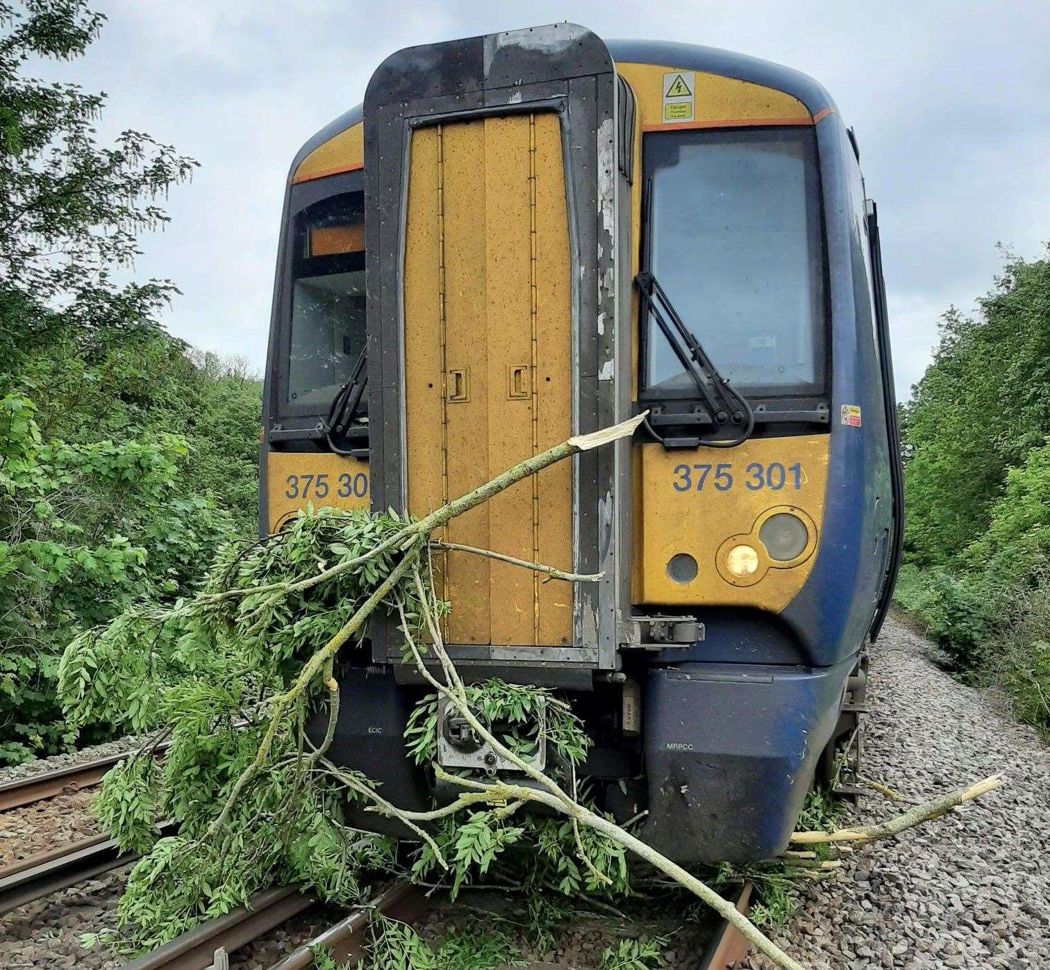 Trains cannot run on the Medway Valley Line between Maidstone West and Paddock Wood due to a tree blocking the railway at East Farleigh. Picture: Southeastern Railway