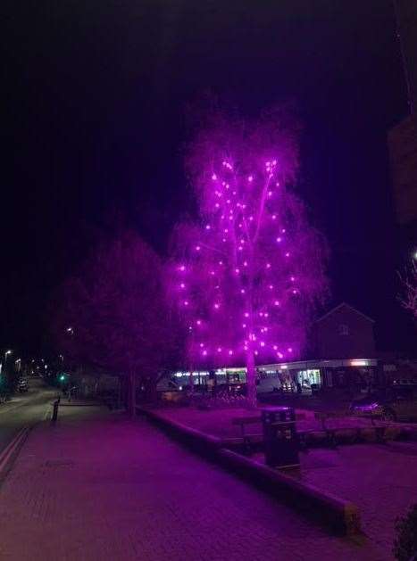 The illuminated tree at The Parade in Staplehurst in memory of HRH the Duke of Edinburgh