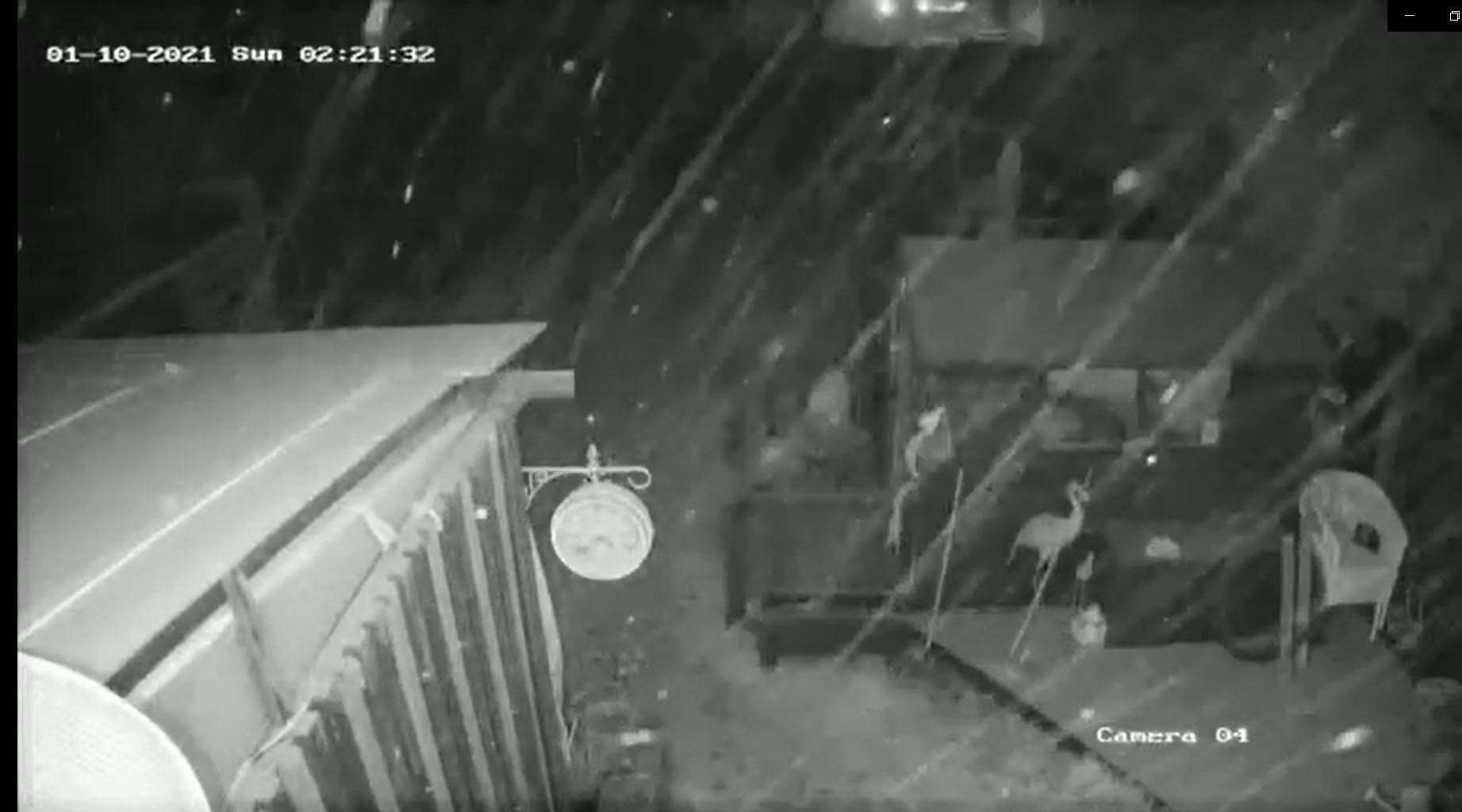 But this security video on Sheppey at 2.21am on Sunday clearly shows snow falling