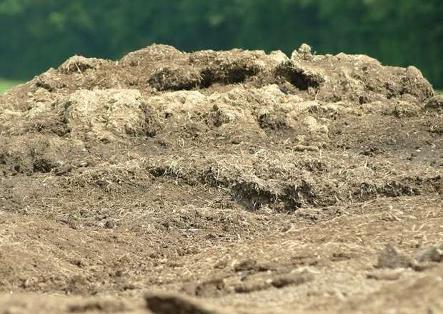 Muck spreading has been blamed for the smell