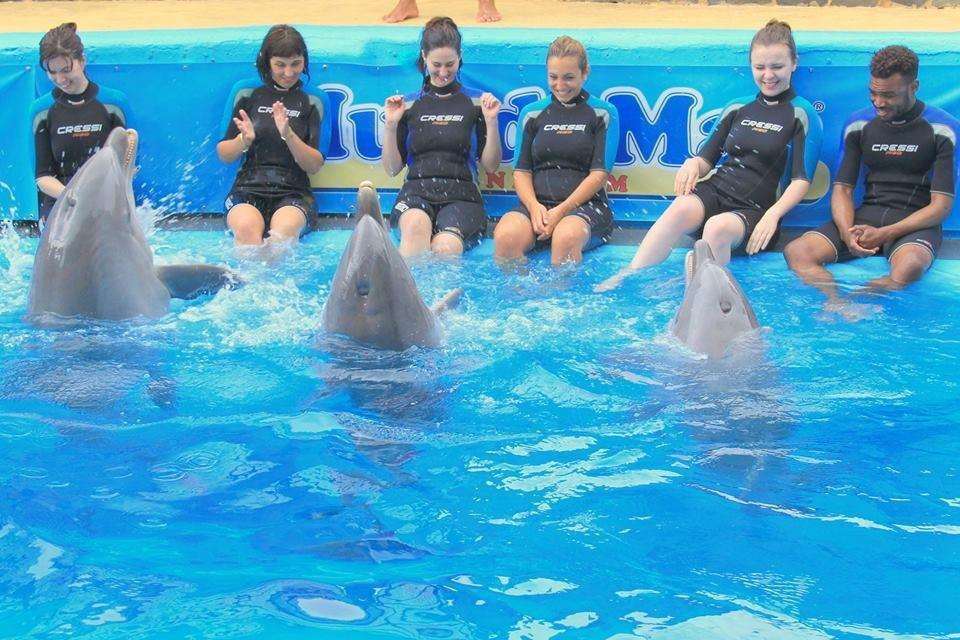 Getting up close and personal with dolphins at Mundo Mar, Benidorm