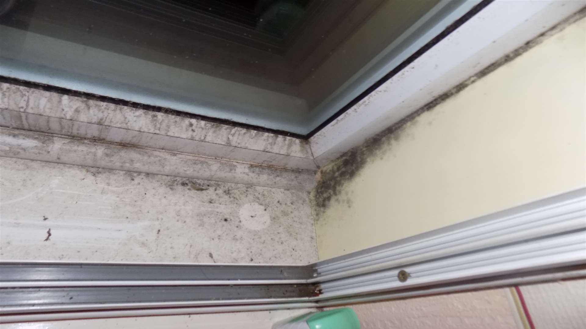 Mould has started to grow in the couples' windowframe
