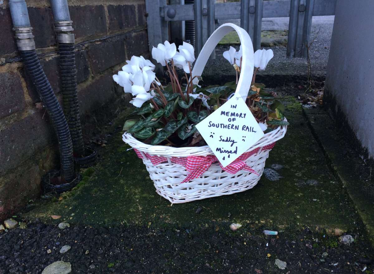 The 'in sympathy' flowers left 'in memory' of Southern. Picture: Laura Kay Redhead