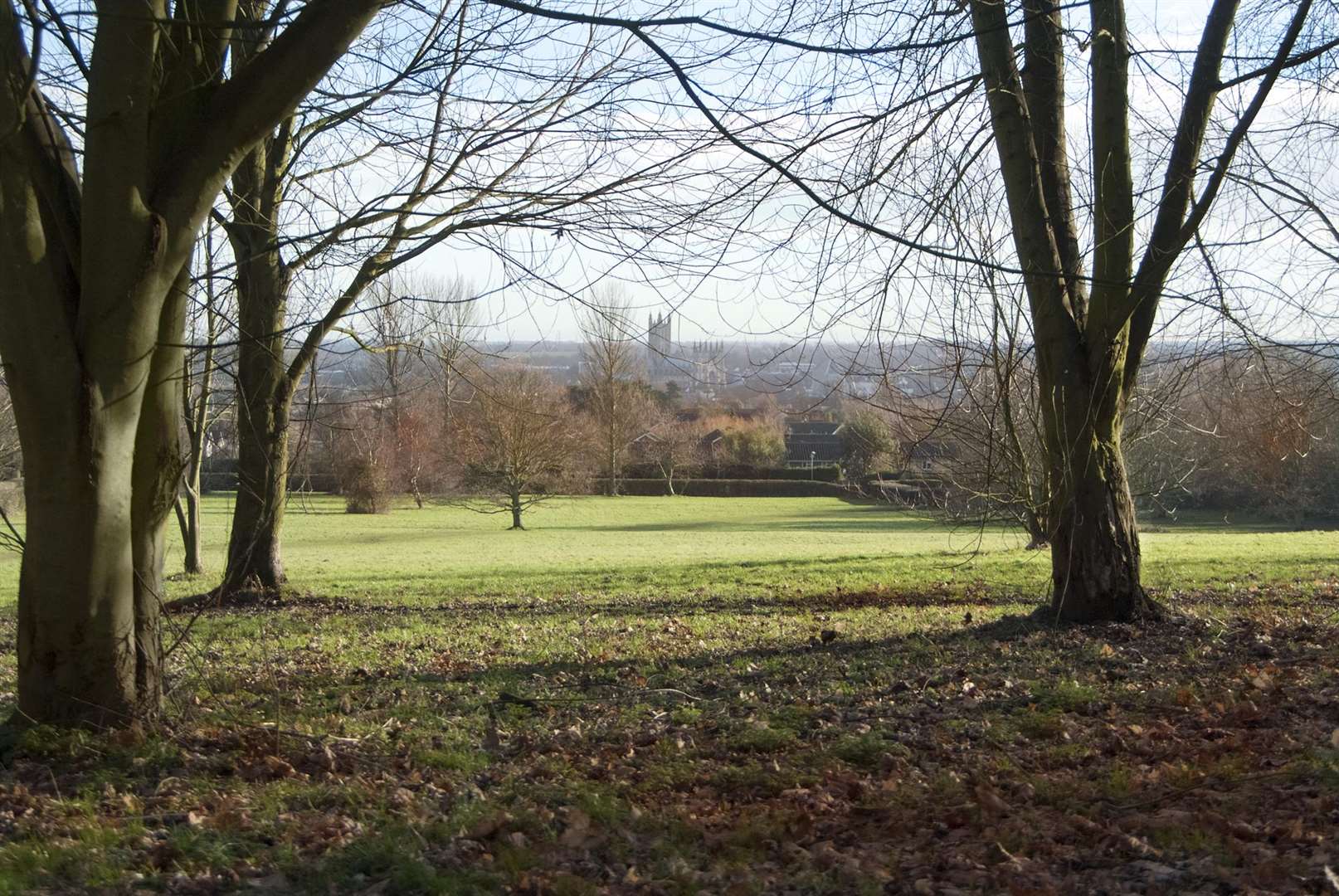 The picturesque southern slopes of the University of Kent campus