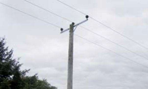 The type of cable Mr Gilmore came into contact with - an 11kV overhead power line. Picture: HSE