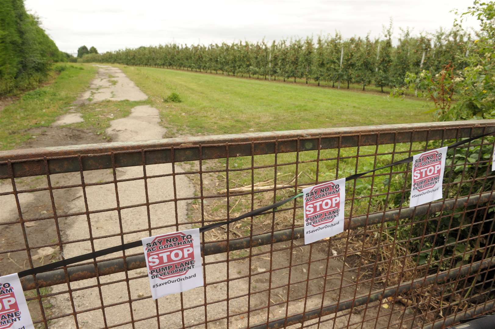 The plans for the orchard between Pump Lane and Lower Bloors Lane are subject to an inquiry. Picture: Steve Crispe