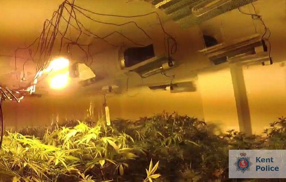 A weed farm was discovered by police in St Andrews Road, Gillingham on Wednesday, July 24