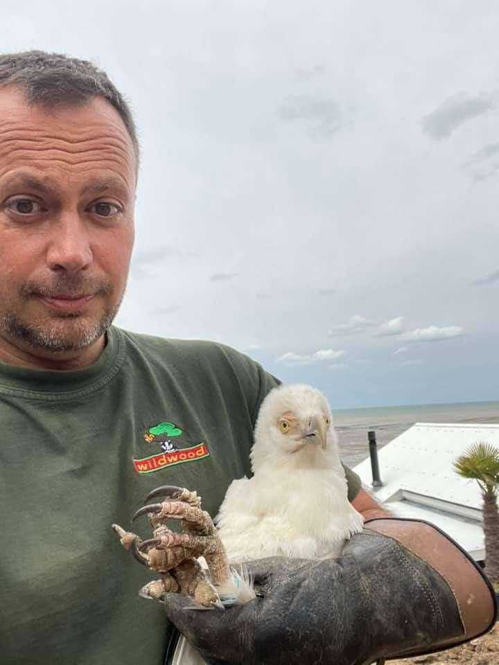 Mark Habben caught the adventurous bird in Seasalter