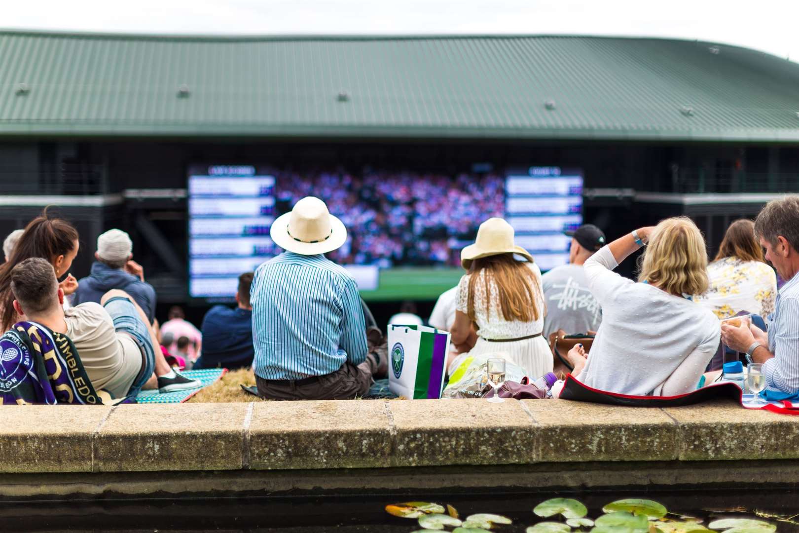It's not unusual for players and crowds to be disturbed by the flying ants at Wimbledon