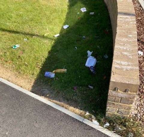 More rubbish scattered on the grass in Starfield Close, Cheriton. Picture: George Allan