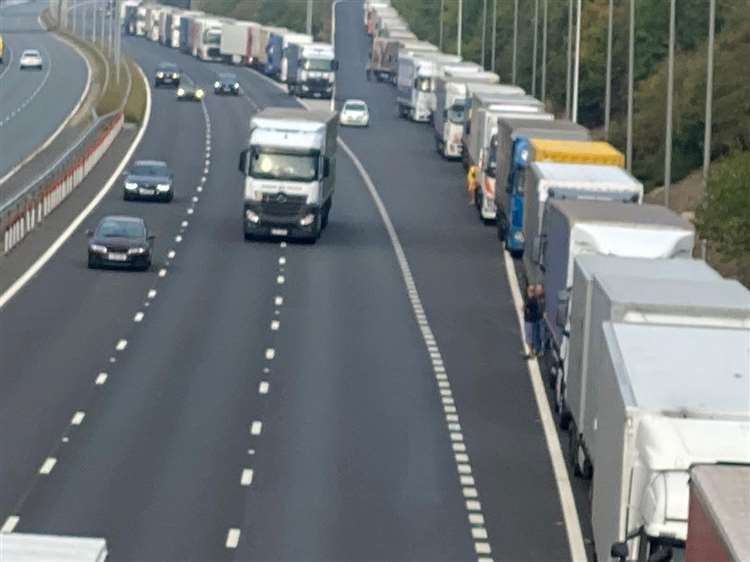 Lorries stretch back as far as the eye can see as they queue for the Eurotunnel Picture: Barry Goodwin