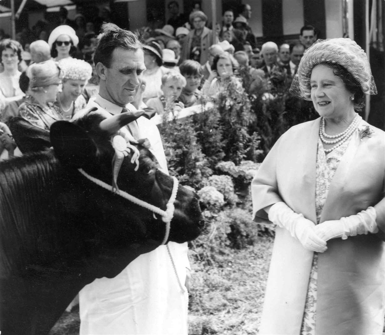 The Tunbridge Wells Agricultural Show celebrated its centenary in July 1962 with a visit by the Queen Mother, who is seen admiring the champion dairy female after presenting the prizes. She had paid her first visit to the Tunbridge Wells show 30 years earlier