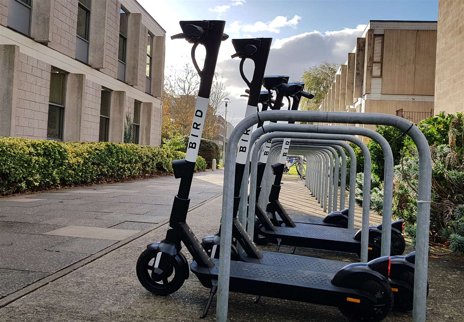 Bird e-scooters were recently rolled out at the University of Kent. Mrs Lilford was hit by a privately-owned scooter