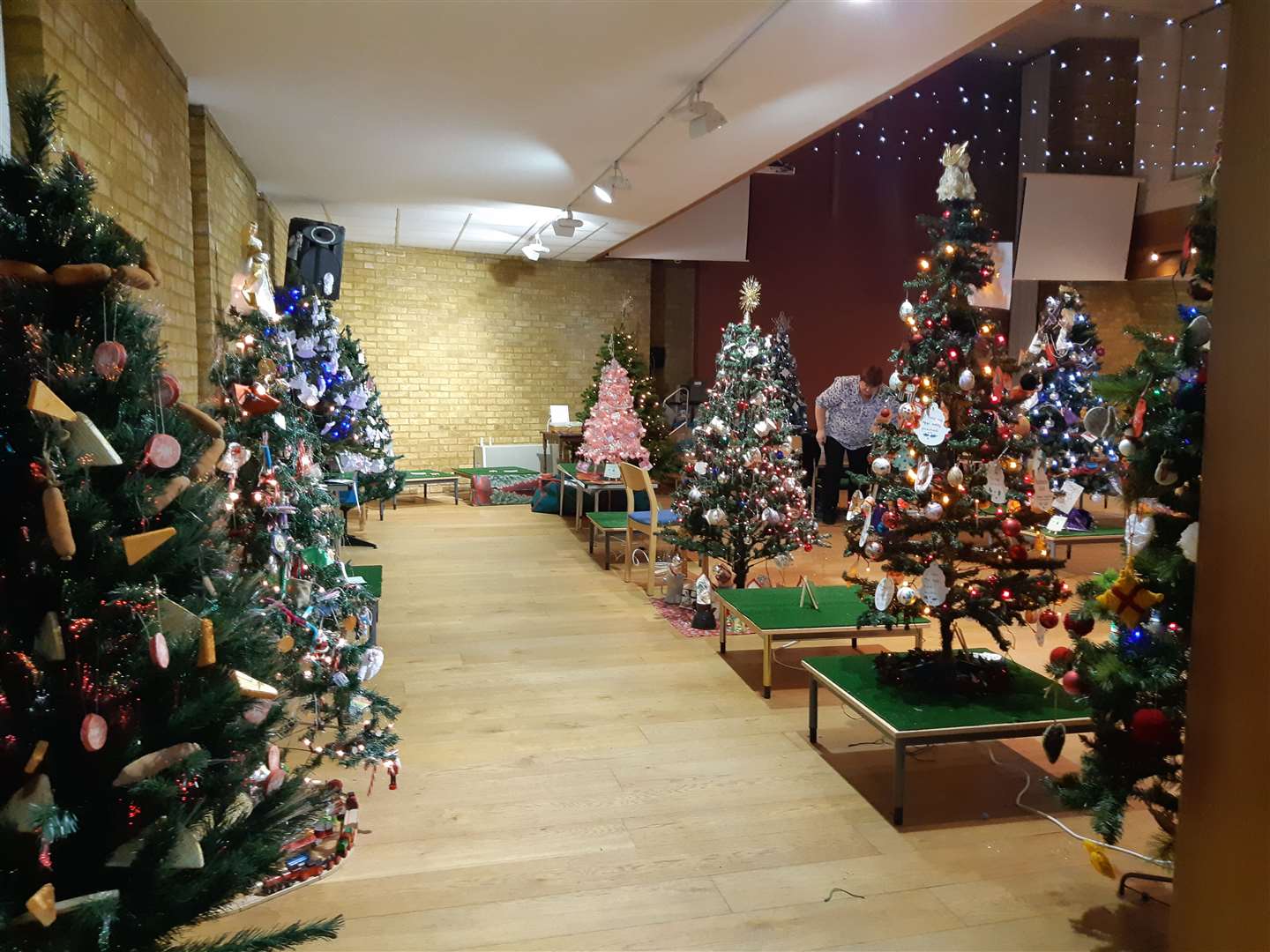 The hall, pictured during set up, will display around 65 trees