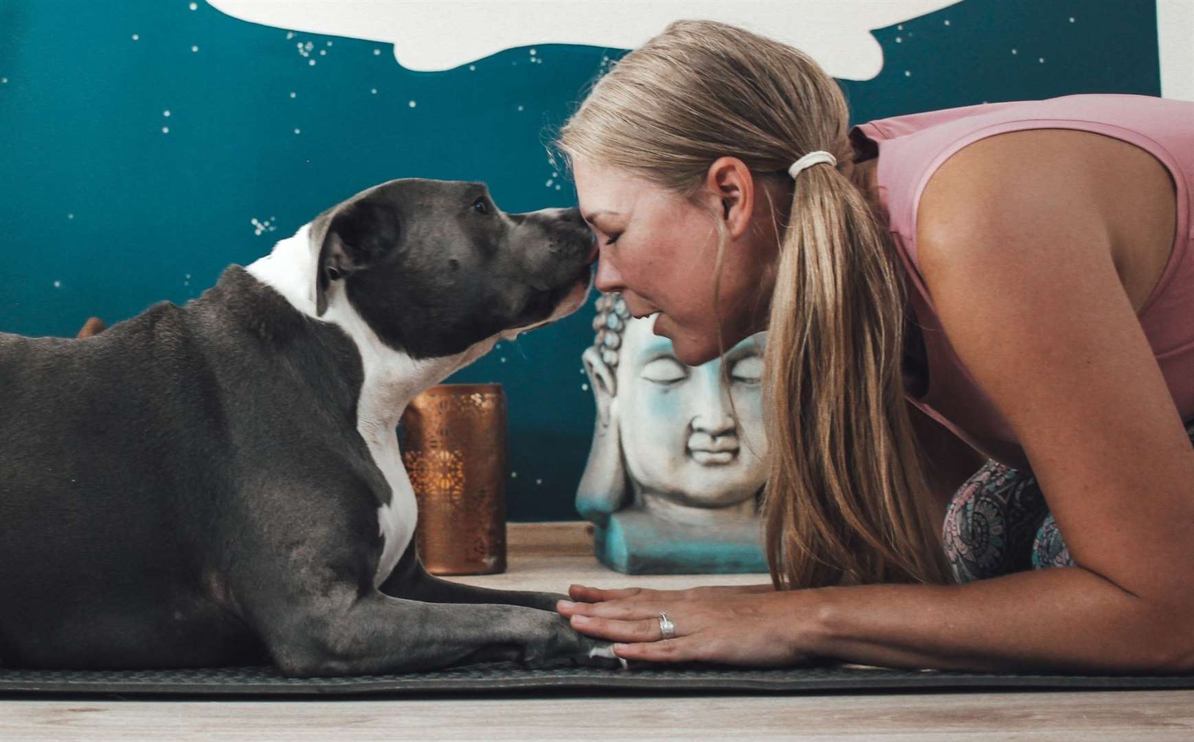 Sometimes pet pals even get involved with Tammy Foster's yoga sessions