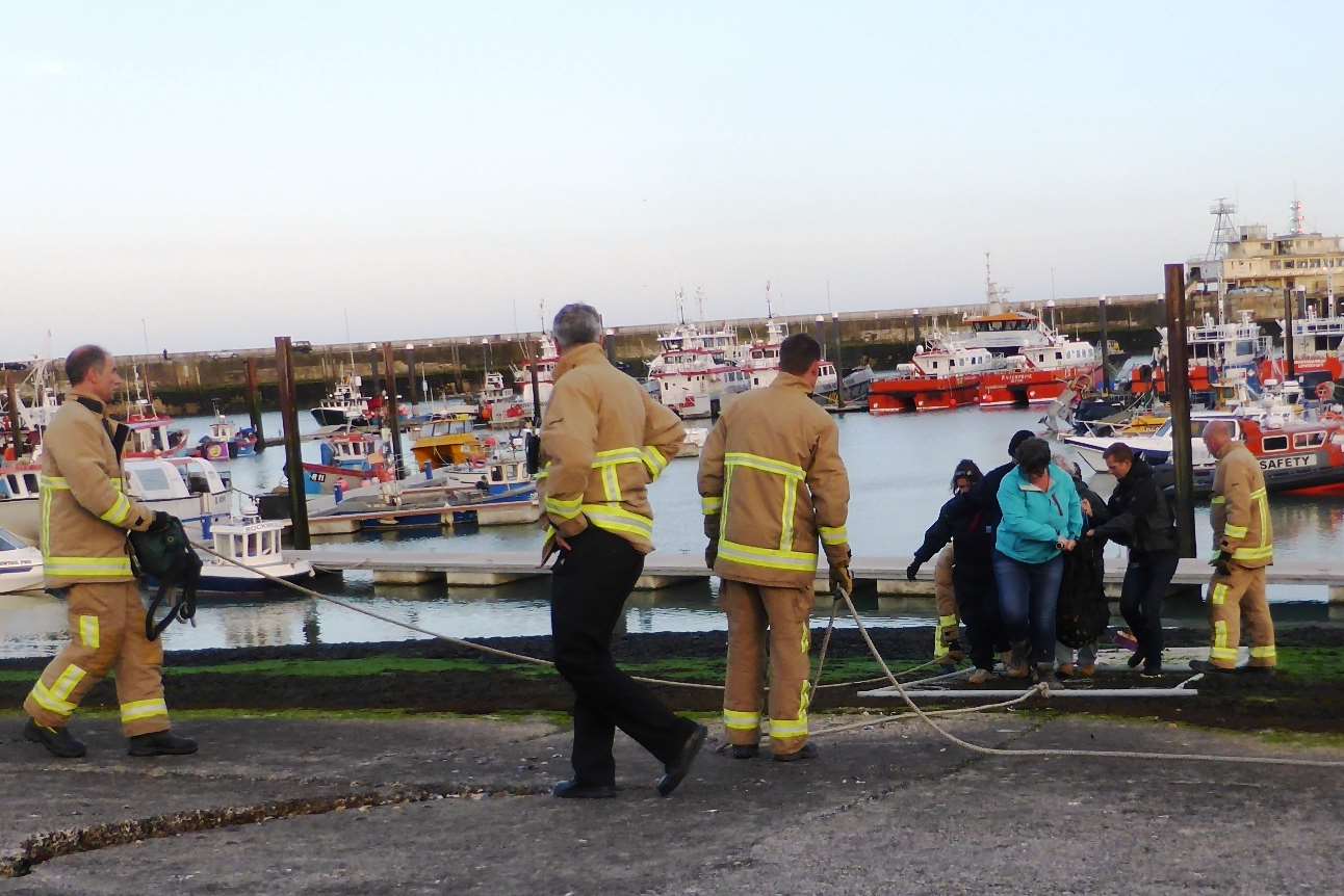 Crews rescue seal from harbour