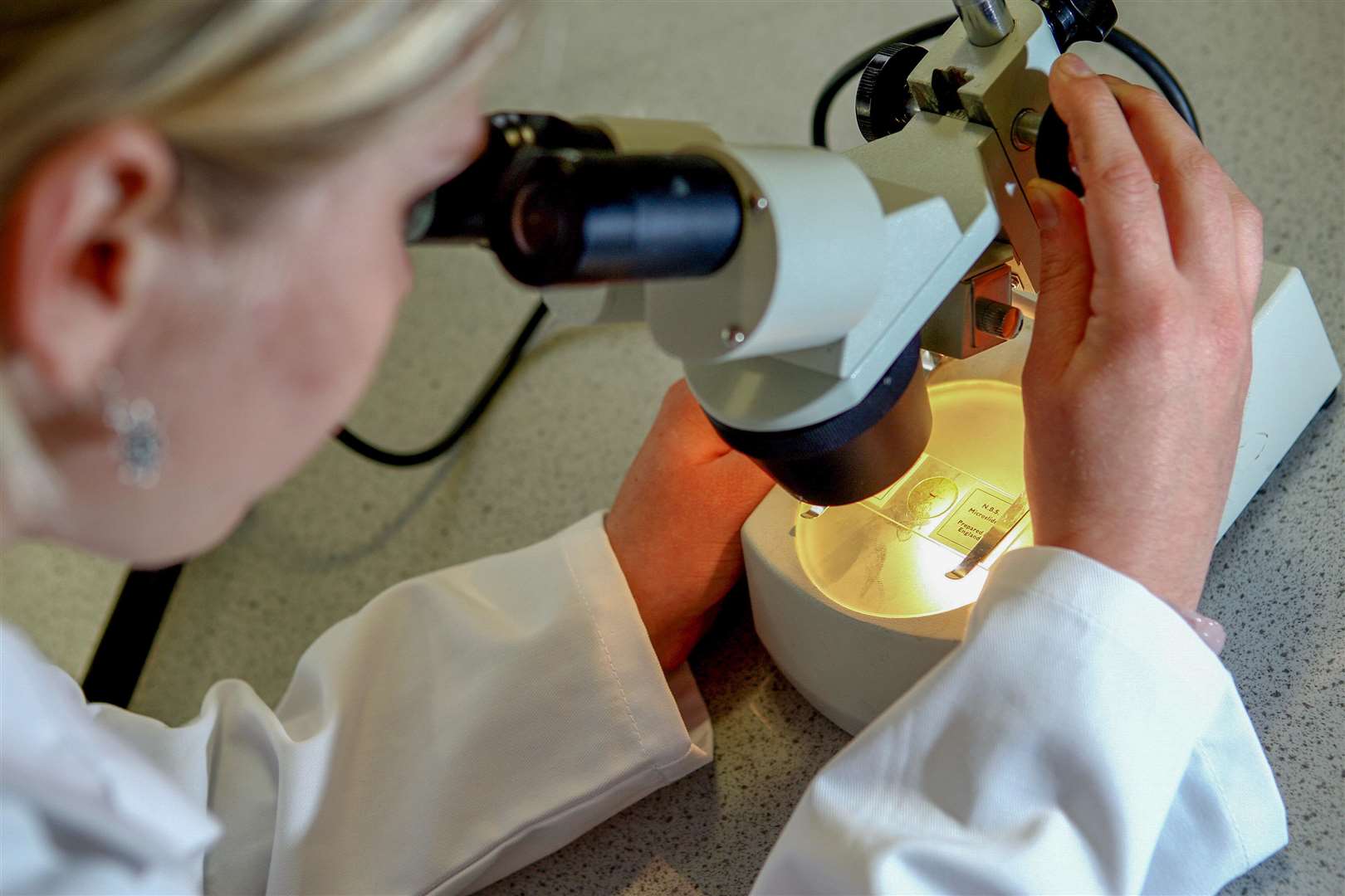 A lab technician looking at matter under a microscope, stock picture