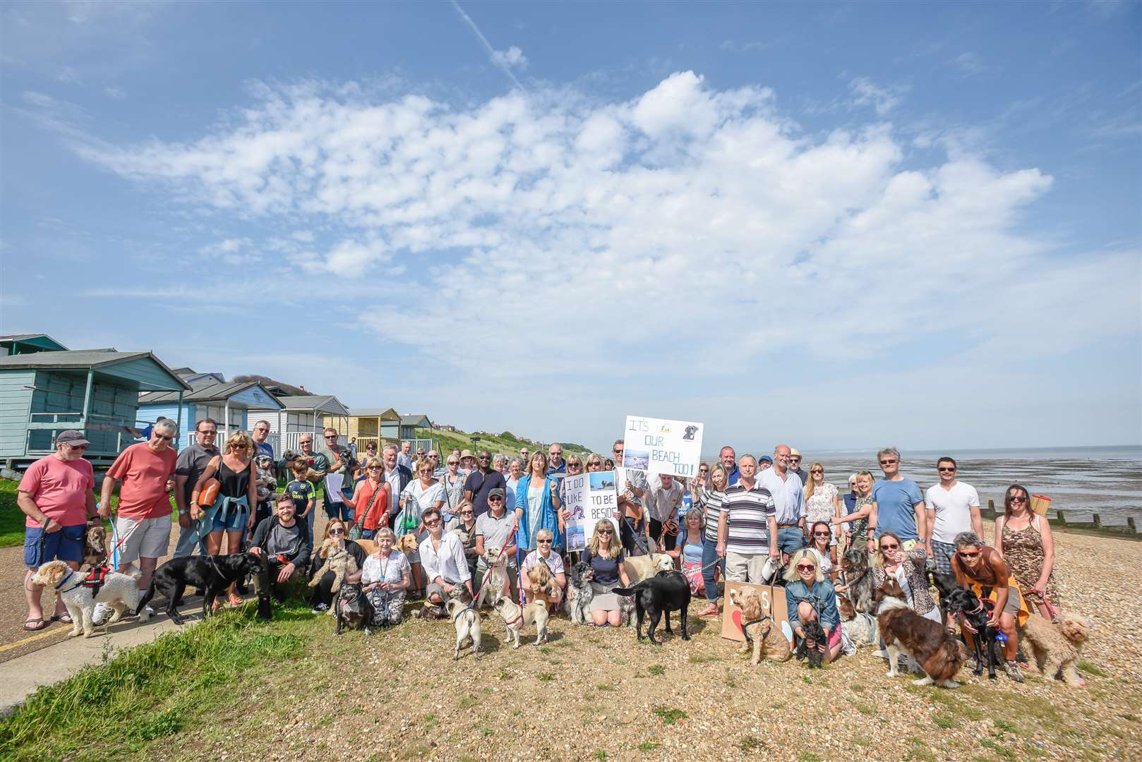 Dog walkers protest against proposal to ban dogs from the beach