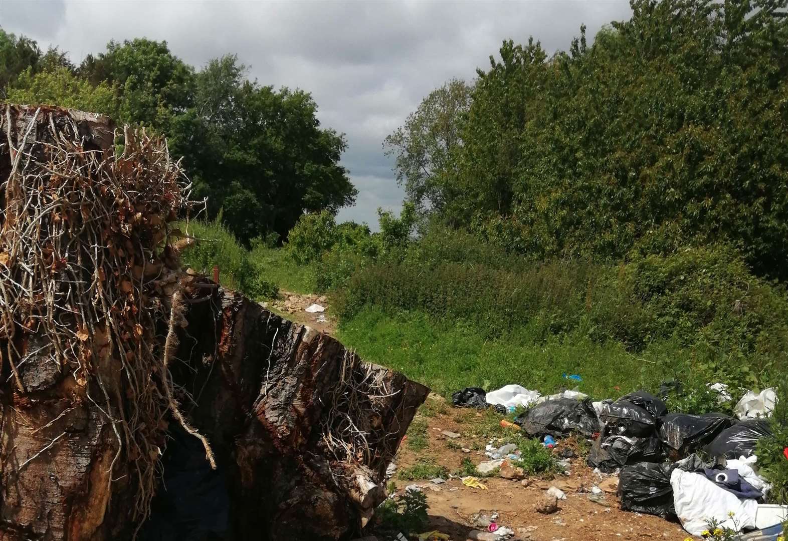 Fly-tippers have been dumping rubbish near to Westfield Sole Road, Boxley, near Maidstone, for around six months. Picture: Liz Pool