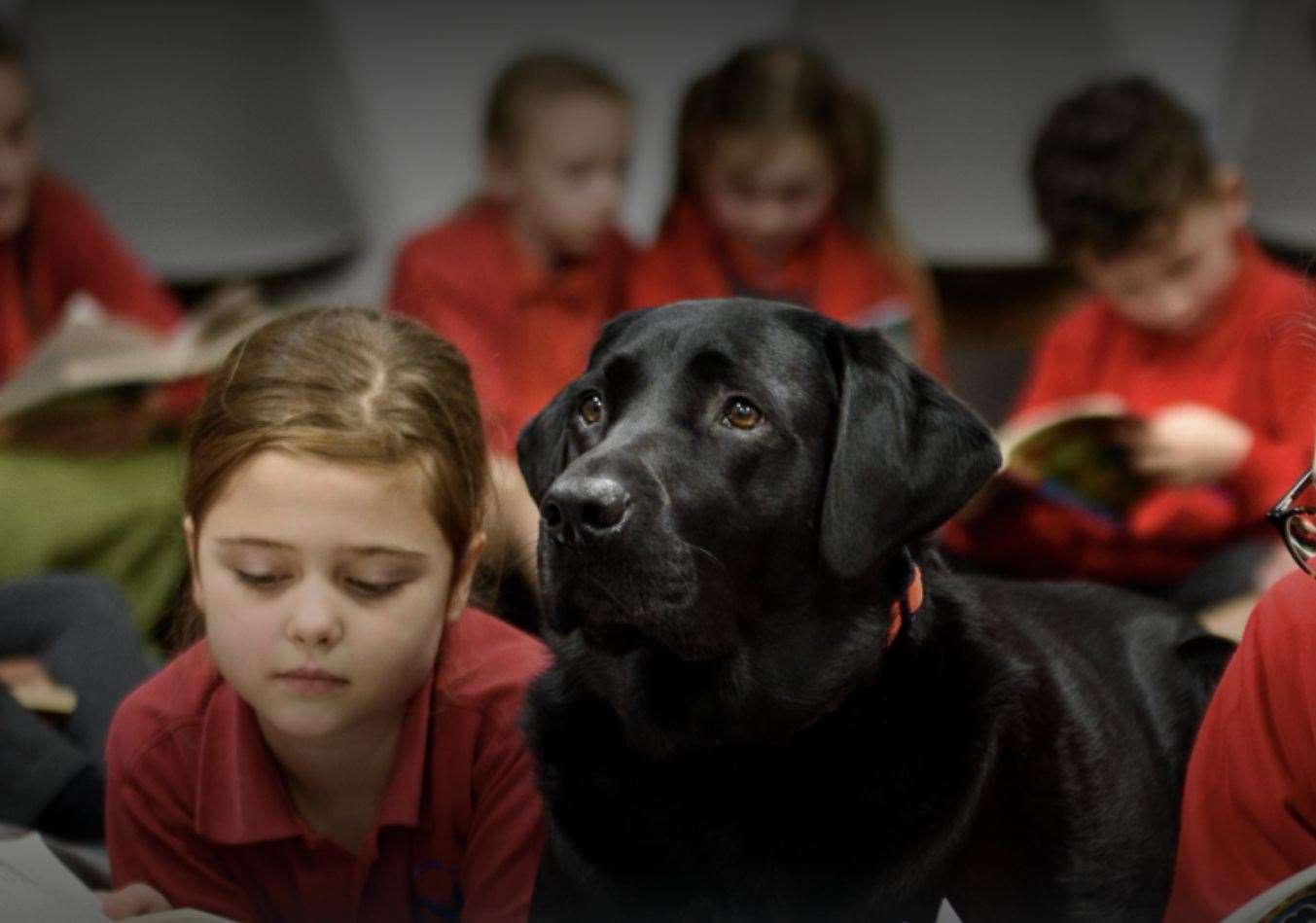Skippy is a therapy dog at Maundene Primary School in Chatham. Picture: Maundene Primary School