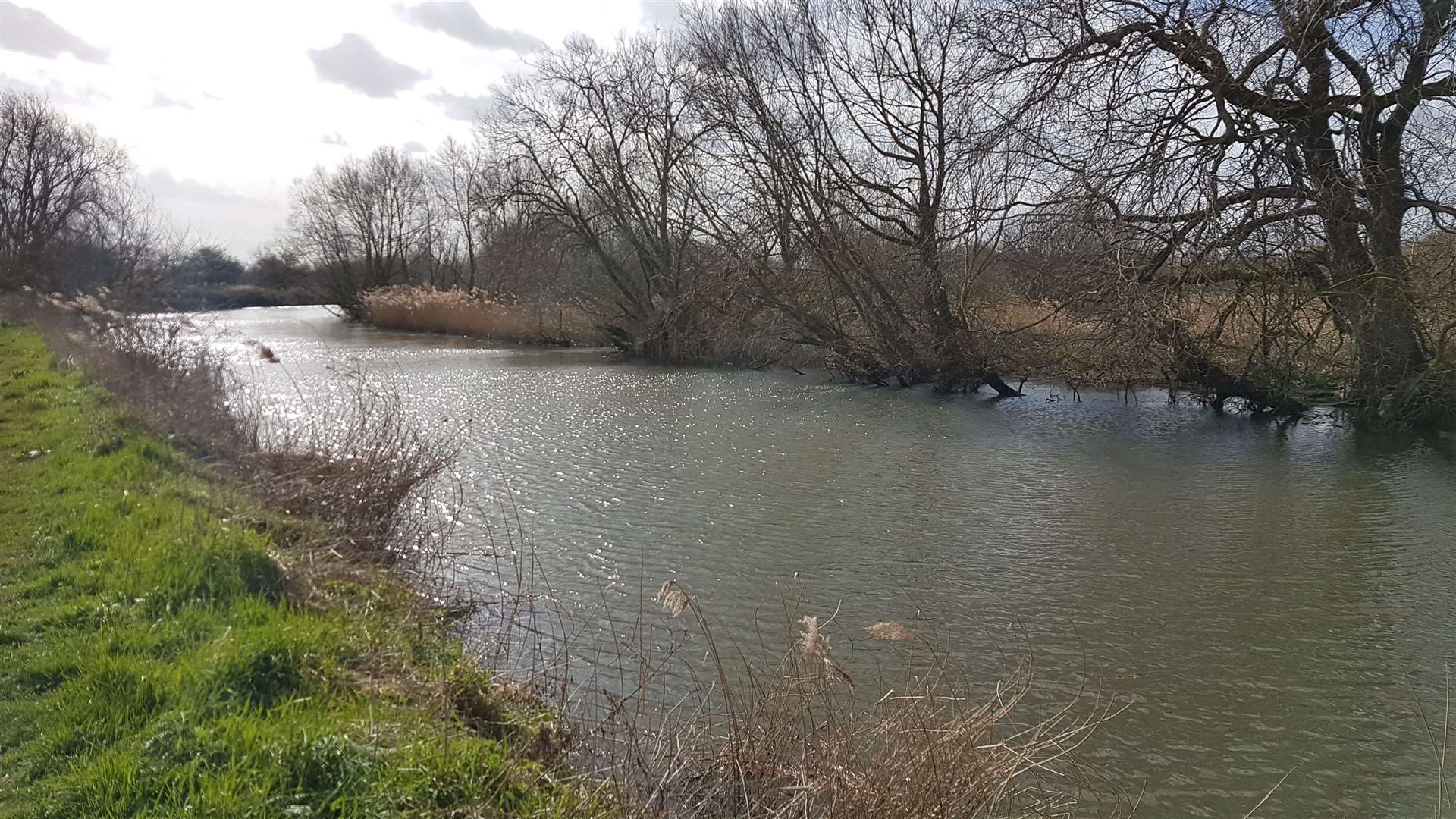 The River Stour flowing through the Canterbury countryside