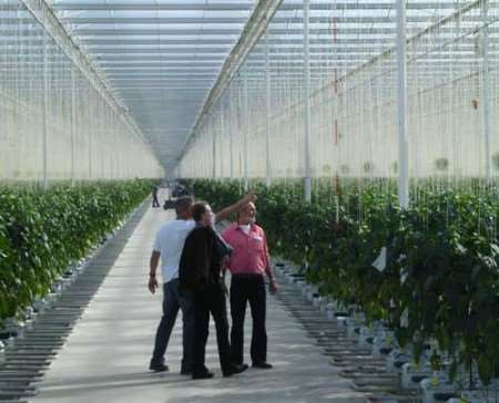 Glasshouses similar to this will be constructed.
