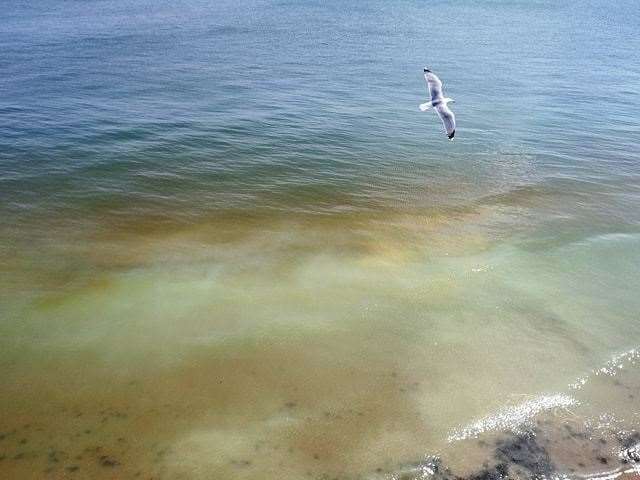 The orange colouring is due to an algae bloom. Picture: Rebecca Douglas (9584685)