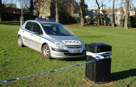The public park where the attack happened. Picture: MIKE PETT
