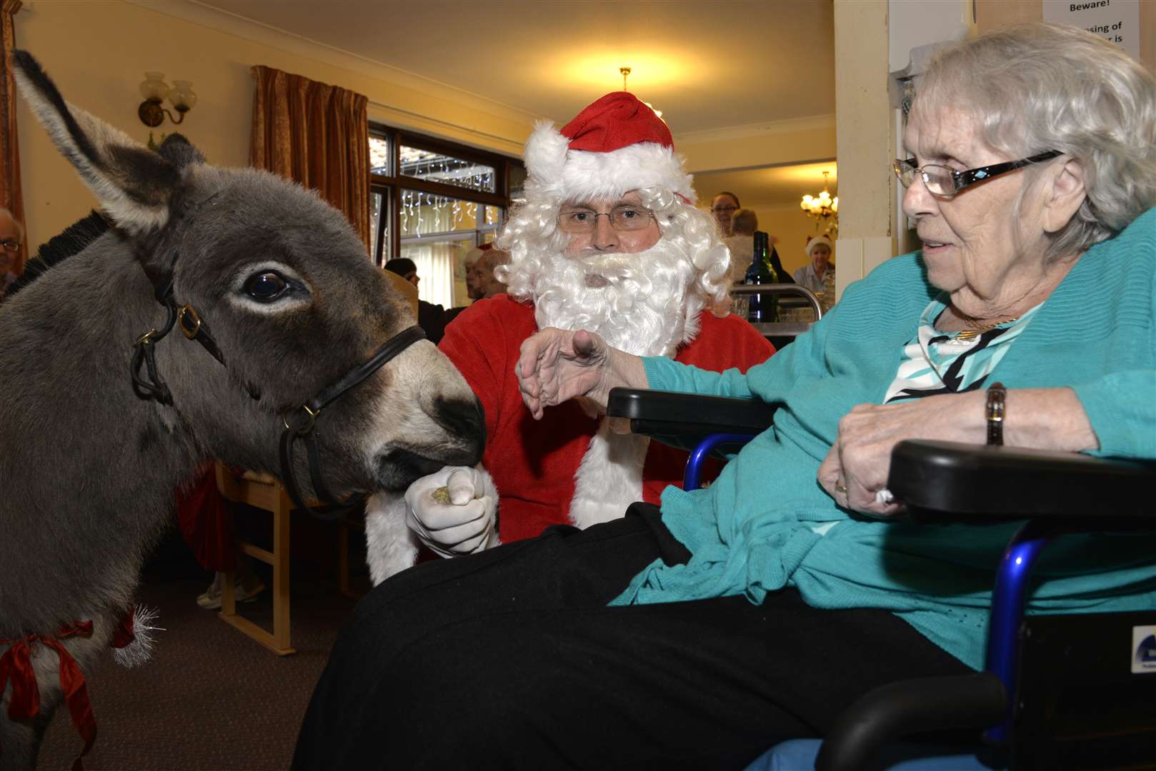 The Christmas party at Wayfarers care home, St Barts Road, Sandwich: Father Christmas introduces Irene Wells, 89, to one of his donkeys