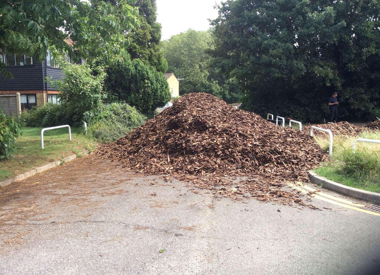 An 8ft mountain of bark was dumped in Sylewood Close, Rochester