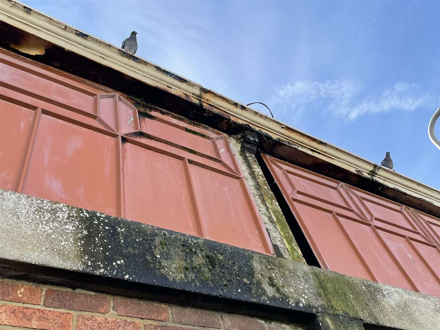 Reopen the Regent campaigners claim that pigeons have invaded the disused building