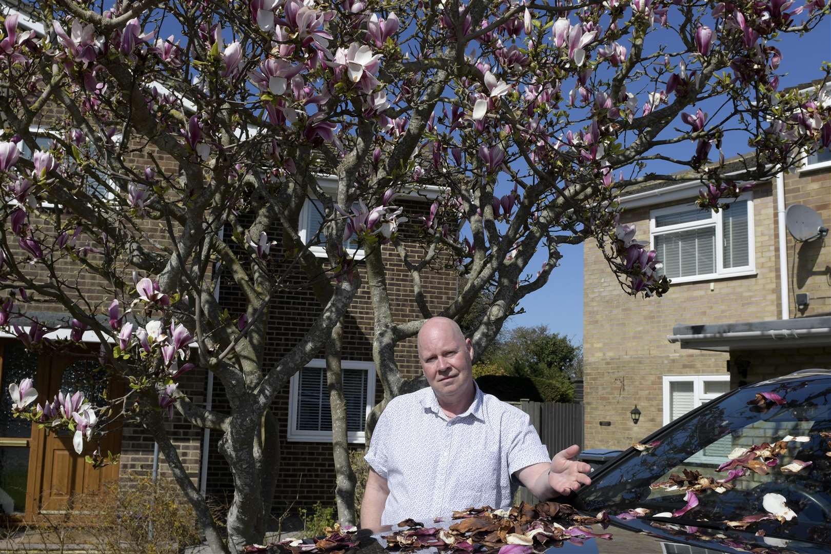 Ken Saggs, from Deal, says he was only removing magnolia leaves from a car which had fallen on his bonnet. Pictures: Barry Goodwin.