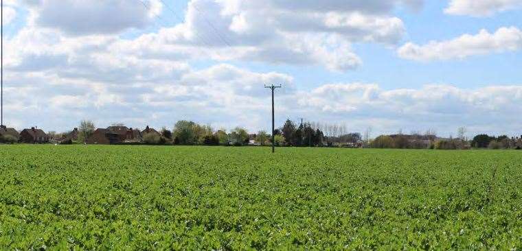 Theproposed development site in Sturry is currently farmland Pic: CSA Environmental