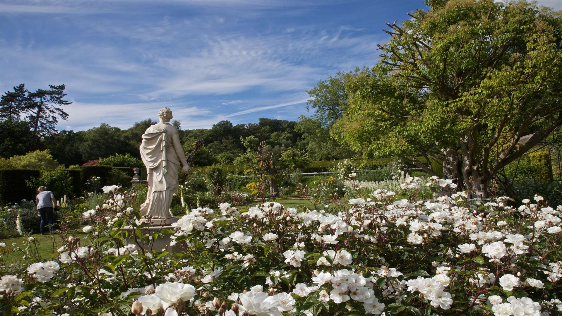 The white rose garden, Groombridge Place