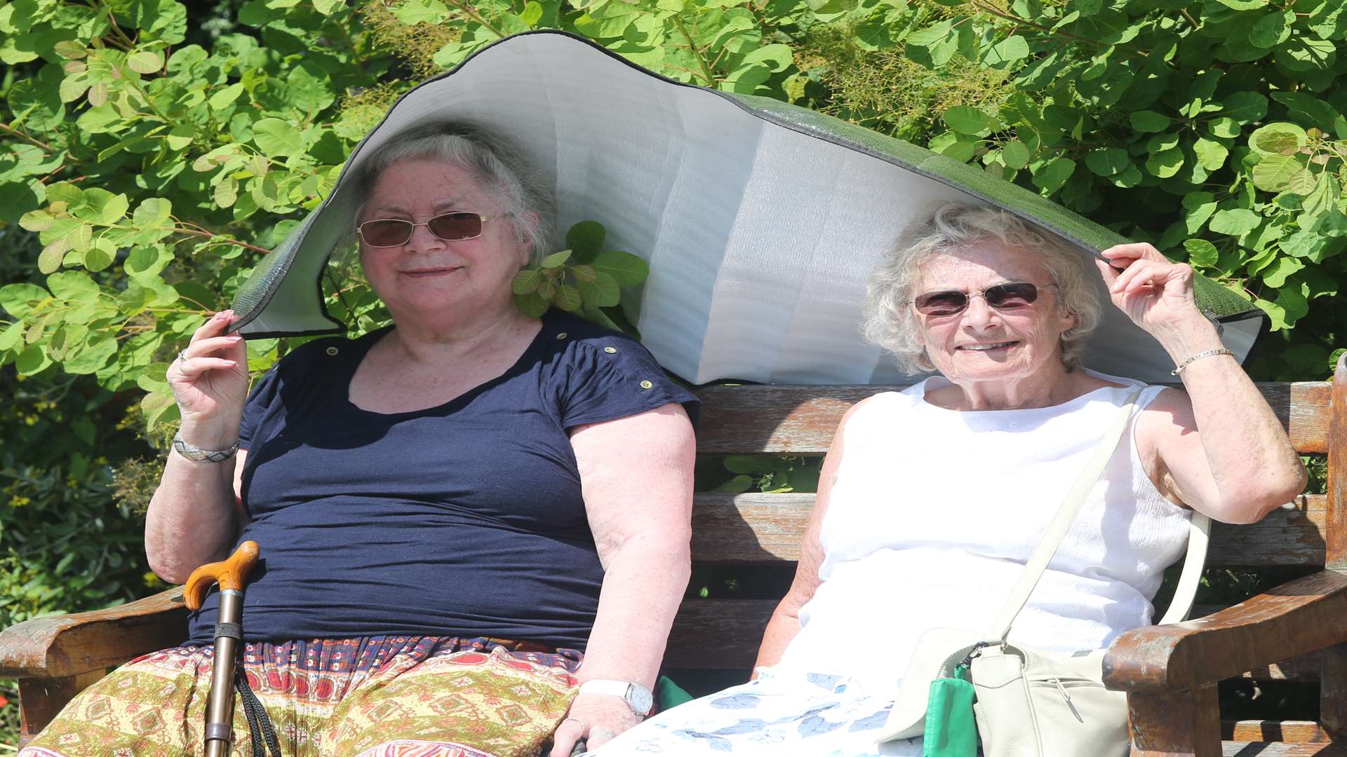 Alison Brittain, left, and her friend Pam Eldrige, shared a car windscreen cover to shelter from the sun.