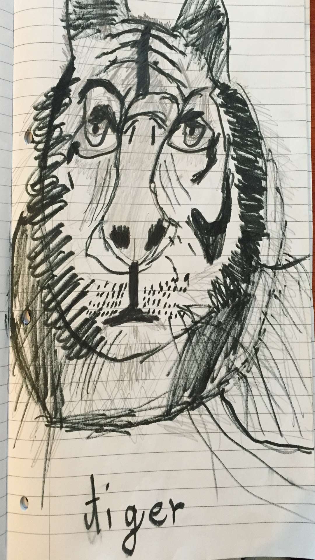 Michael's picture of a tiger
