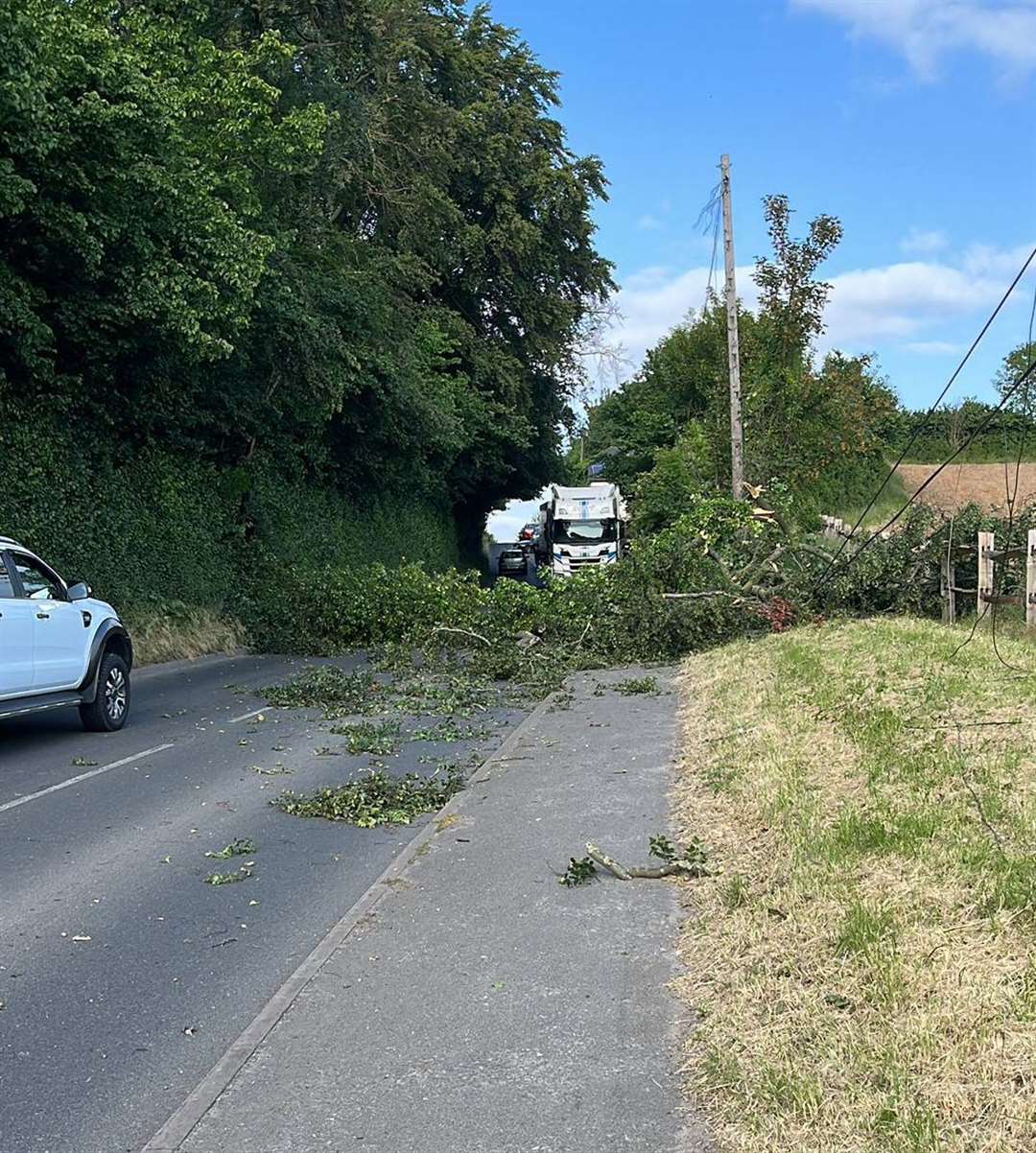 A tree smashed into Jack's car on Darenth Hill in Dartford