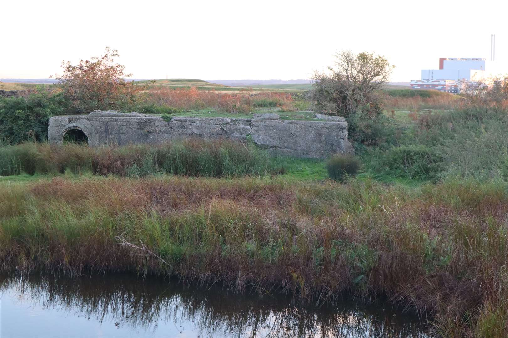 Former brickworks where old industry meets wildlife at Elmley Nature Reserve