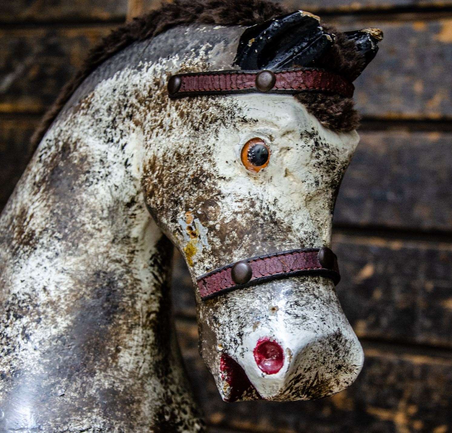 The ghostly rocking horse being sold by Canterbury Auction Galleries. Picture: Canterbury Auction Galleries