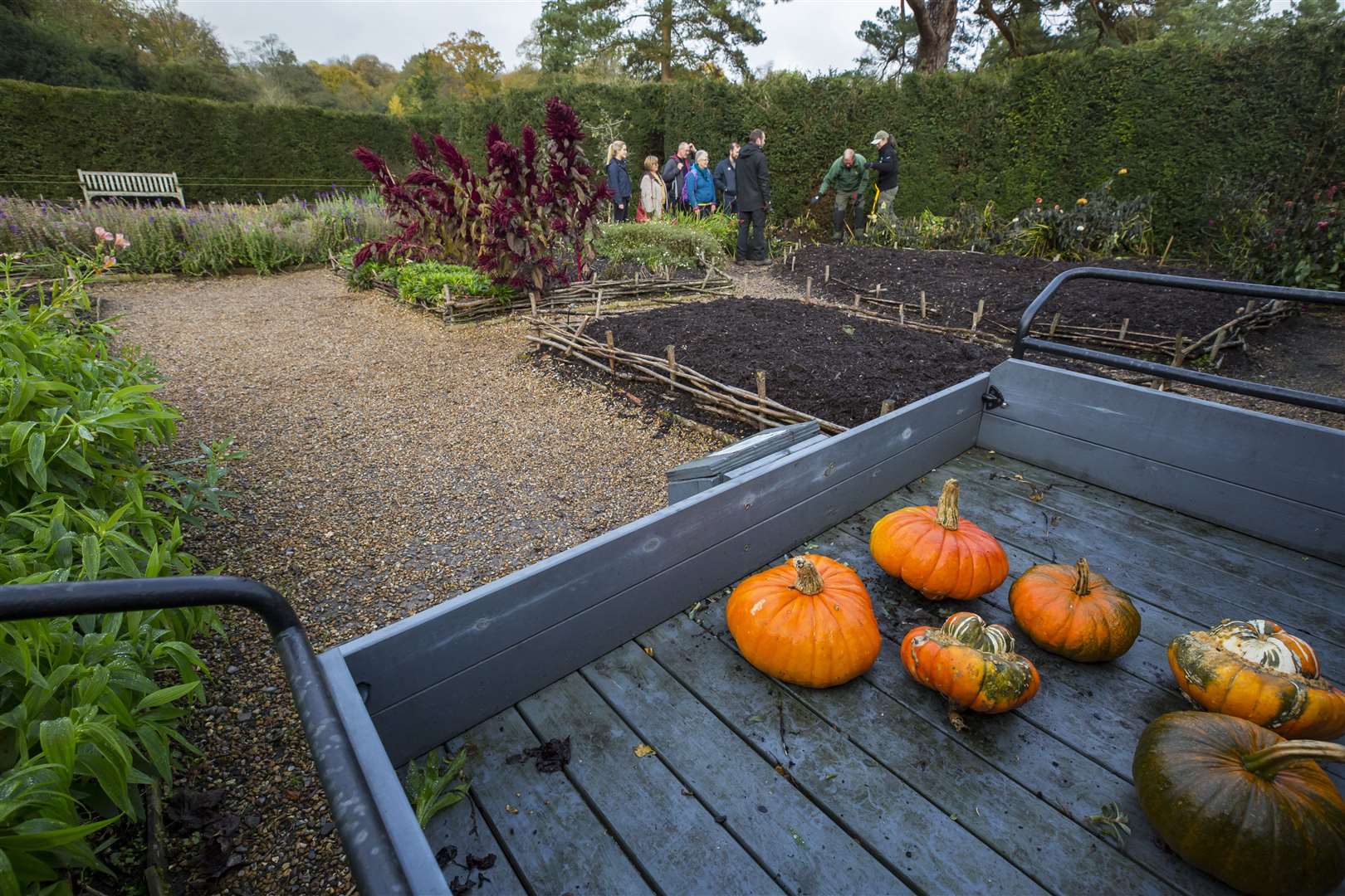 Take your picture with a pumpkin at Ightham Mote. Picture: ©National Trust Images / Chris Lacey