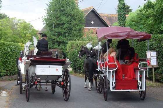 Drayhorse Shires, based in Challock, supplied the two horse-drawn carriages for Pamela and Christopher Gale's wedding. Picture courtesy of Juliet Cordell