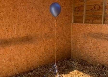 Christine says a horse sees a balloon as a predator