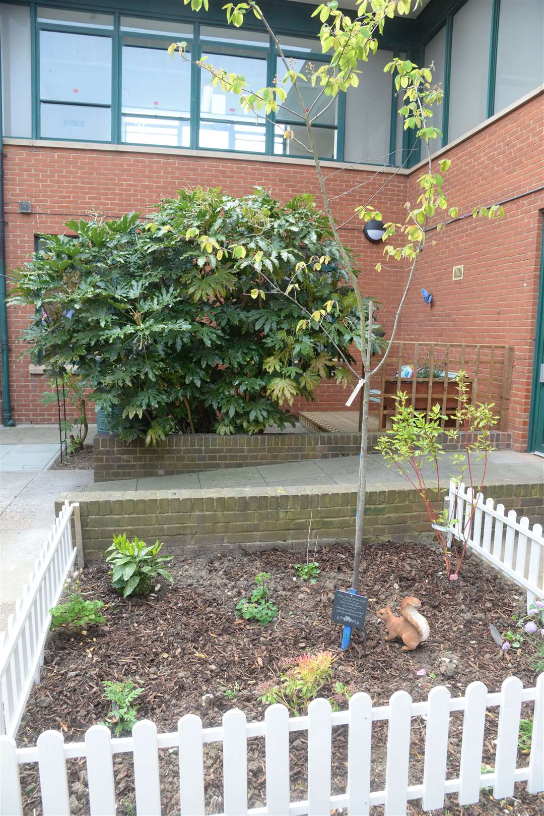 The dementia garden at the Medway Maritime Hospital after its opening on Wednesday. Picture: Chris Davey. (9488675)