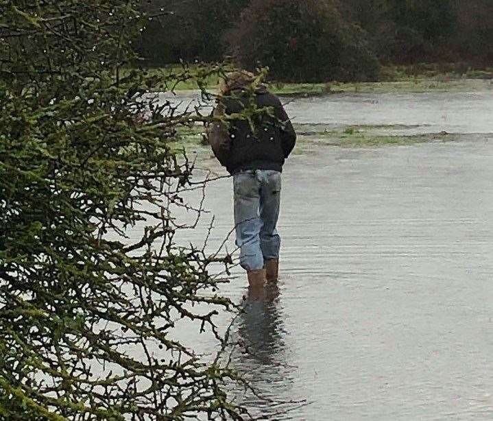 The Green Party Ashford Borough councillor Steve Campkin braved the floodwater to check the condition of the horses, sited on reportedly KCC-owned land (24783060)