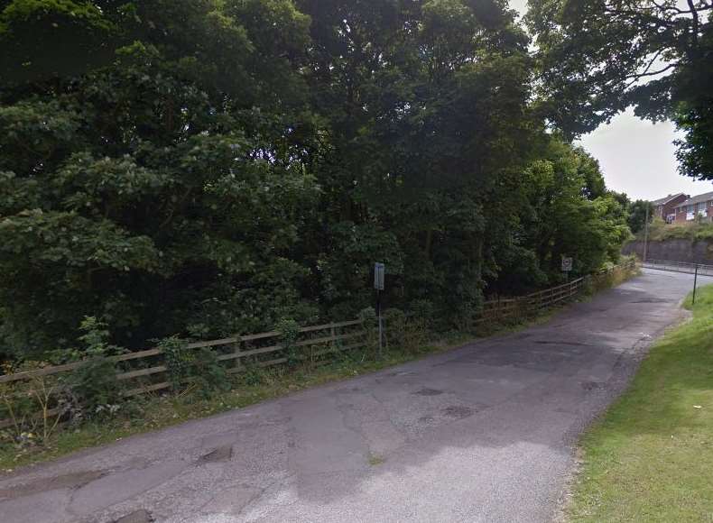 The attack happened in Drop Redoubt Road, Dover. Picture: Google.