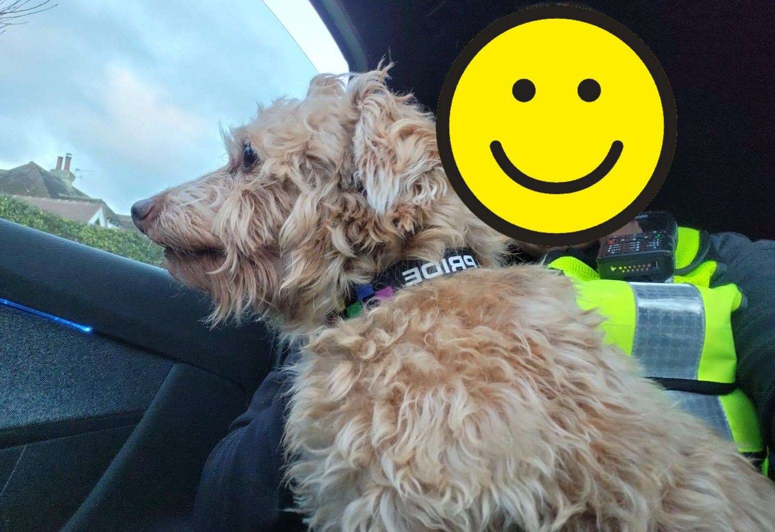 The dog was taken to a vet before being reunited with its owner. Picture: BTP Kent