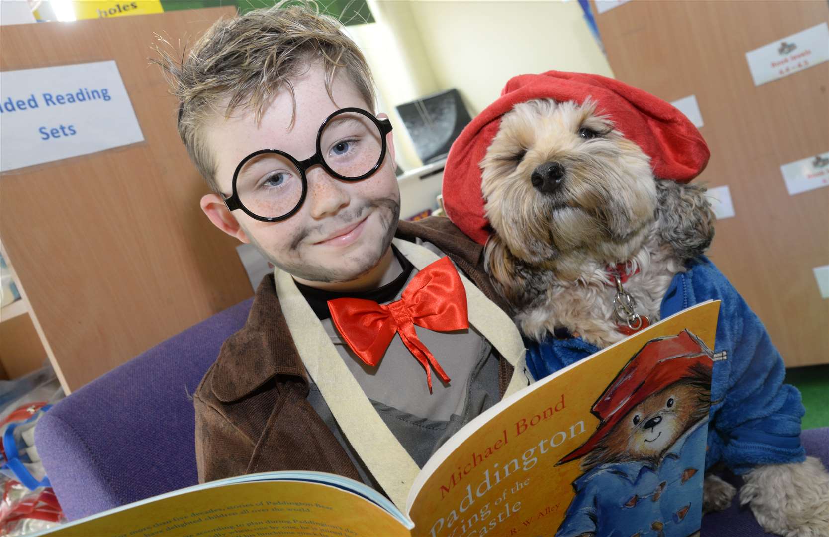 Alex as Mr Stink reads to Bryn, the school dog who came as Paddington Bear to World Book Day at St Edward's Catholic Primary School last year Picture: Chris Davey