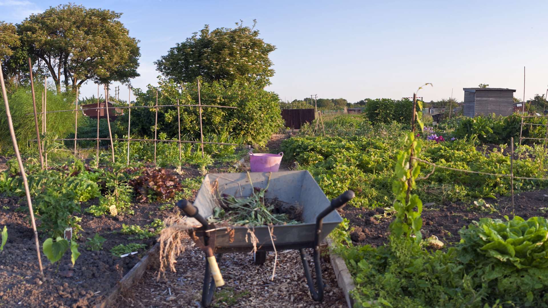 The price of an allotment will vary from borough to borough