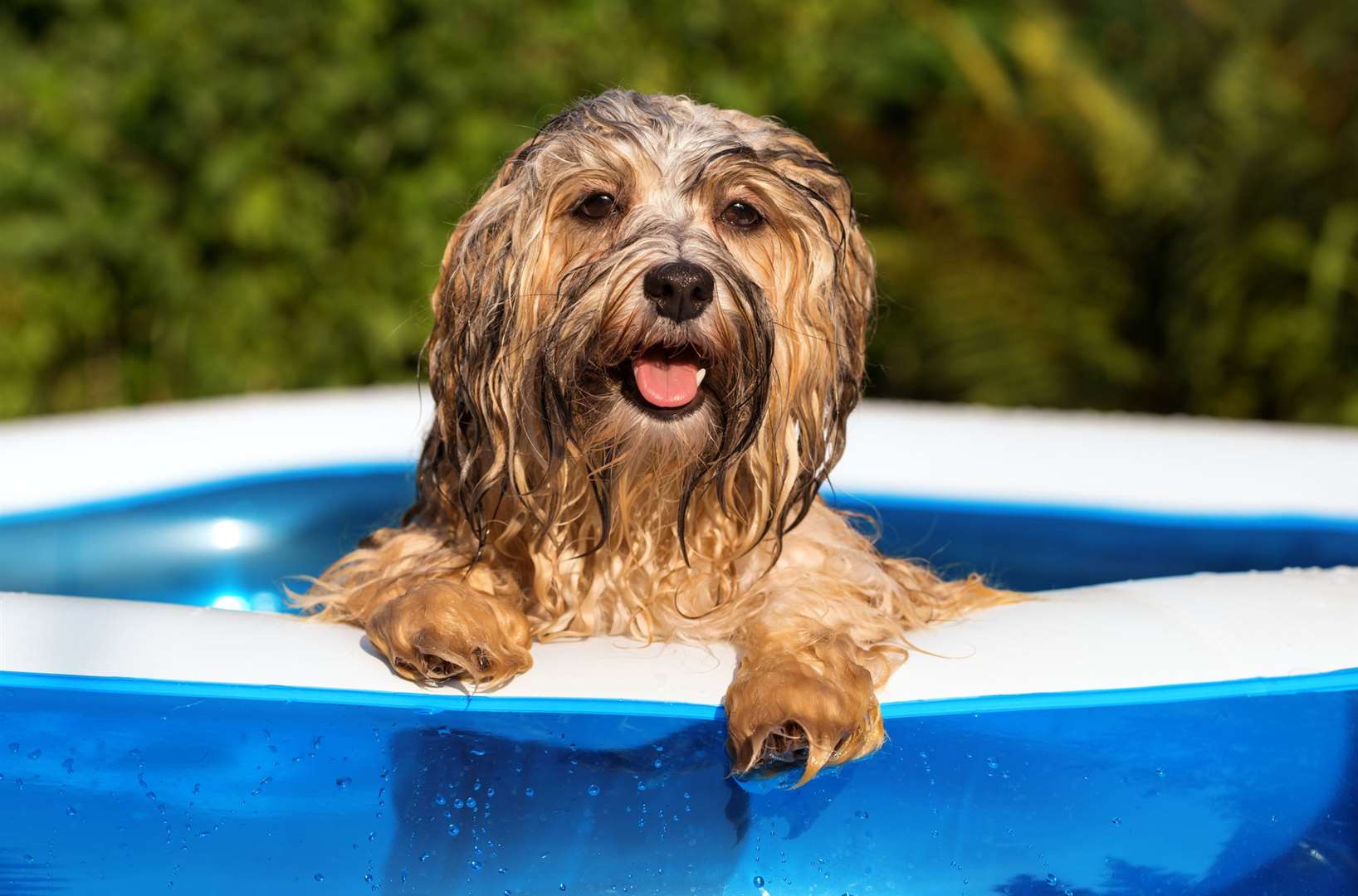 More customers will now start filling up paddling pools says South East Water. Image: Stock photo.