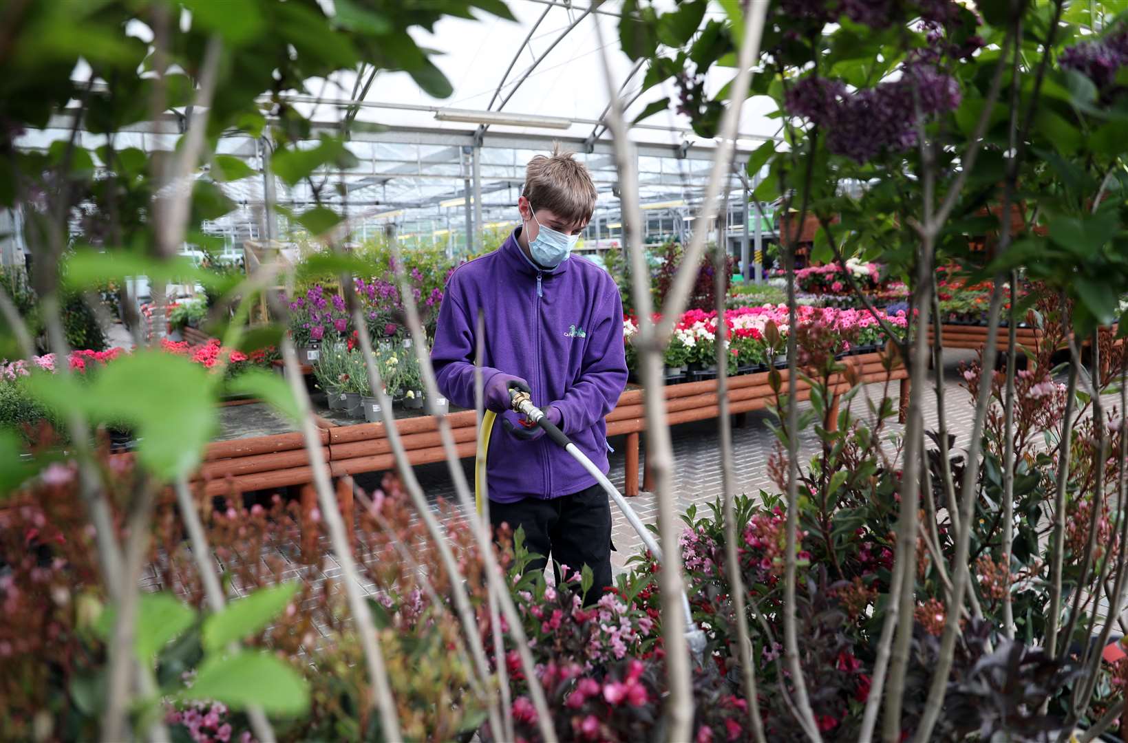 Staff water plants while wearing masks prior to the reopening (Andrew Matthews/PA)